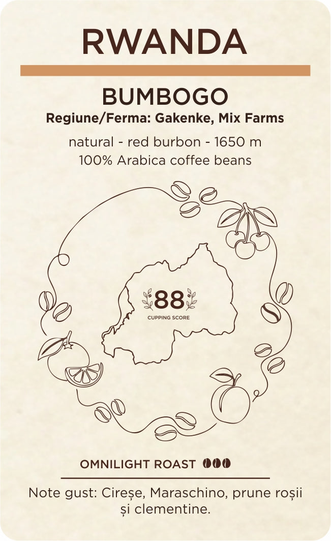 Rwanda - Specialty Coffee ★ Guest Star